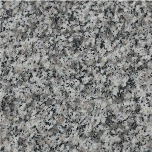 G623 Bianco Sardo Grey Granite