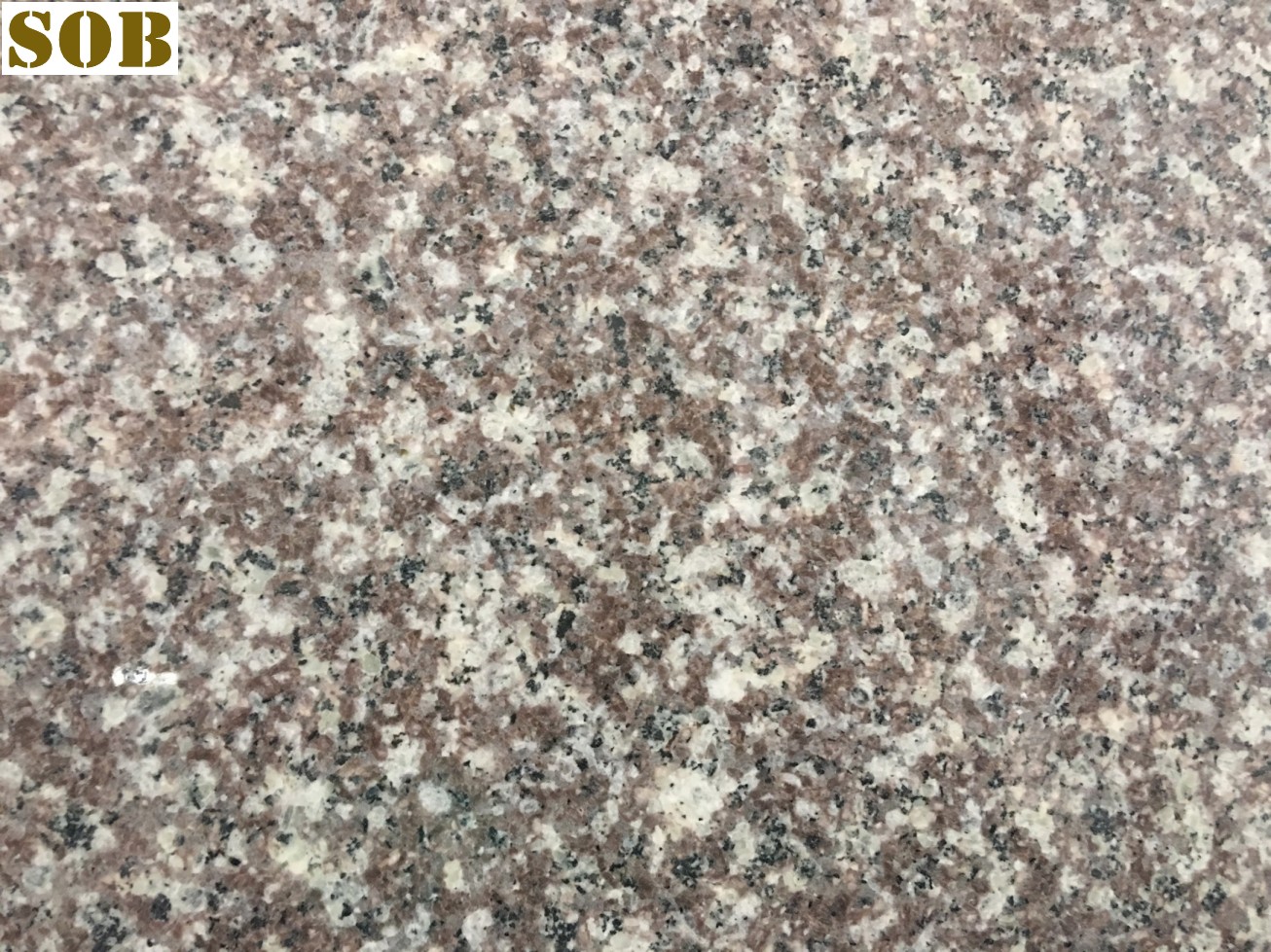 Quality G664 Luna Pearl Red Granite Slabs