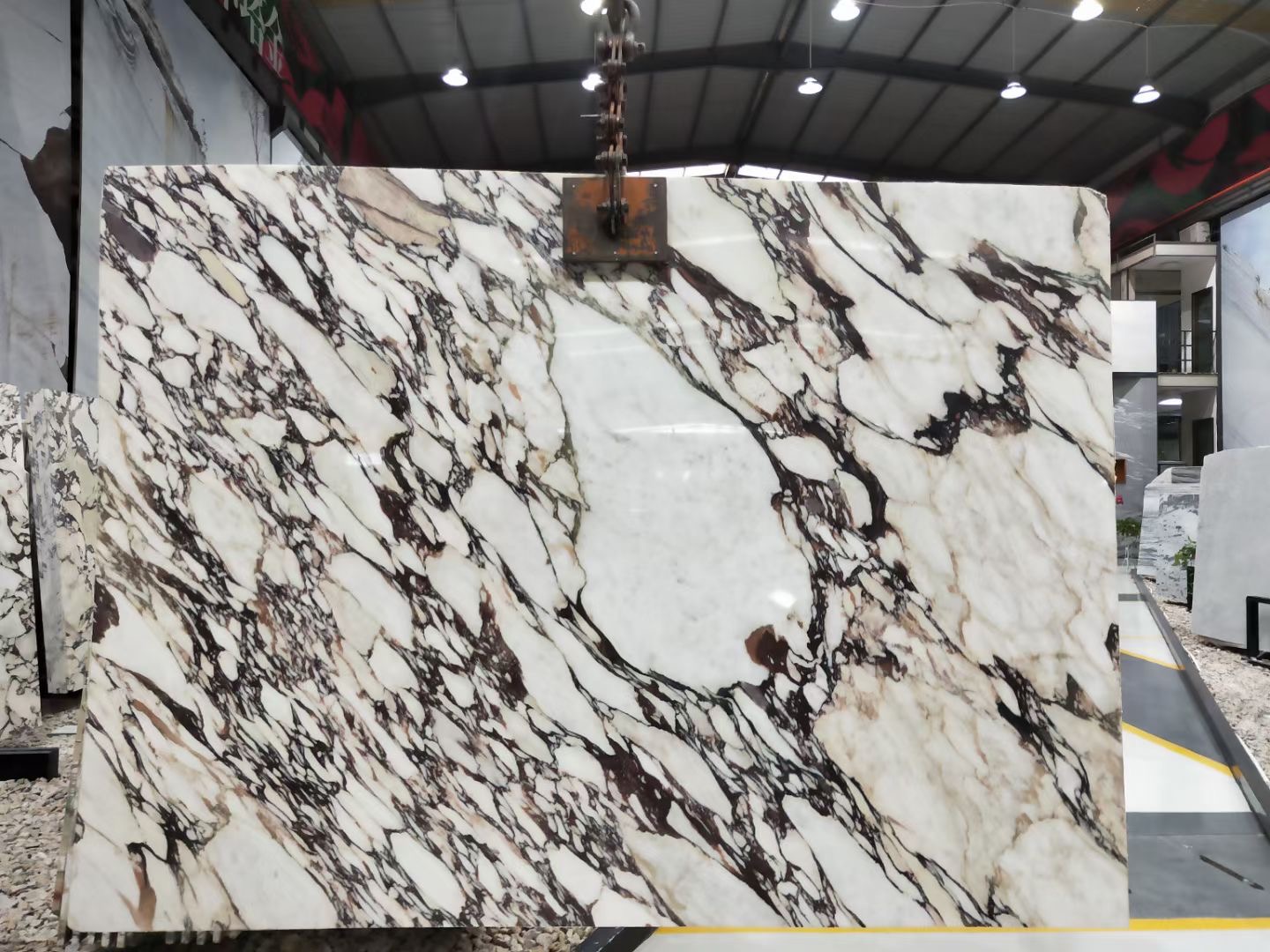 Calacatta Viola Marble Slabs