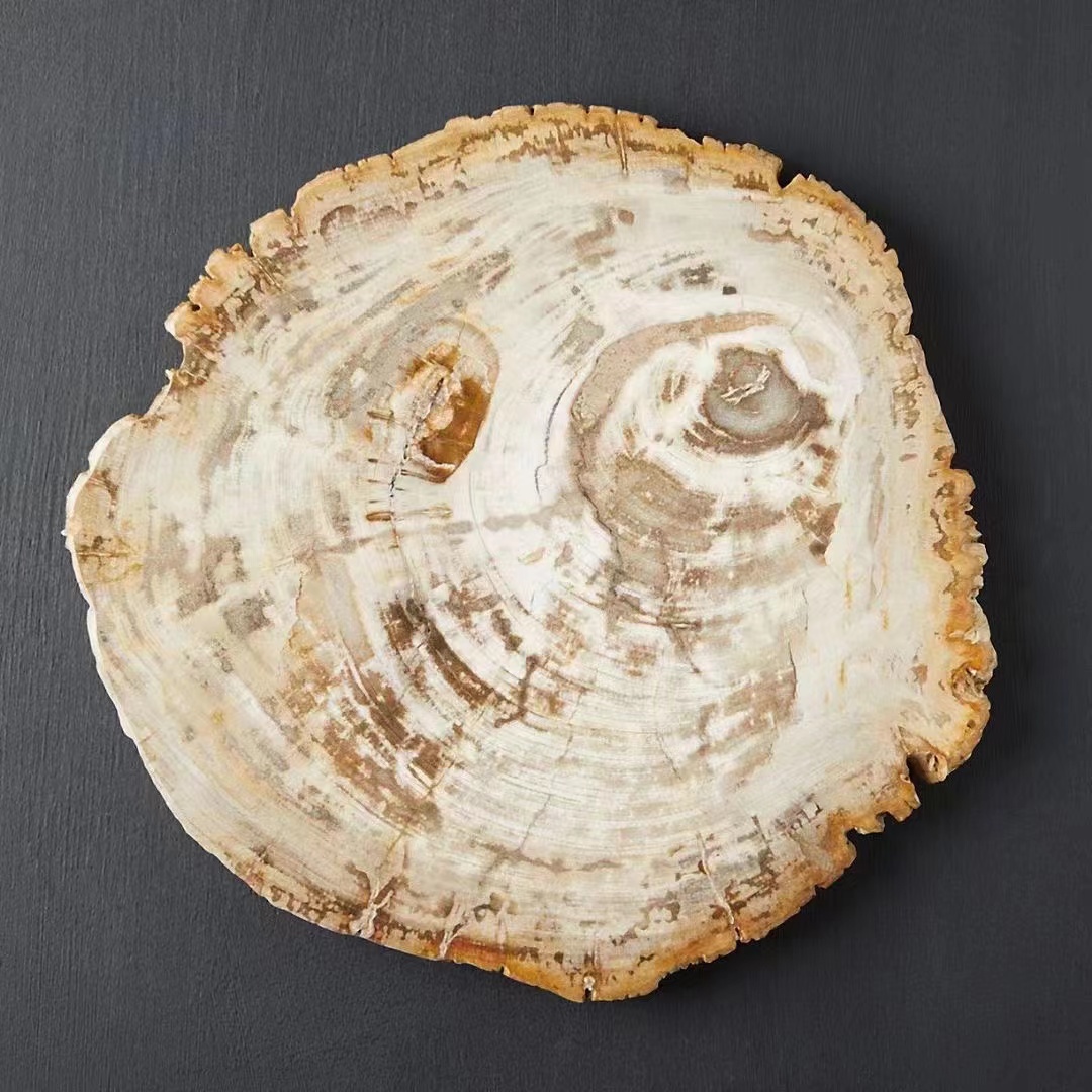 Natural Fossil Wood Serving Tray
