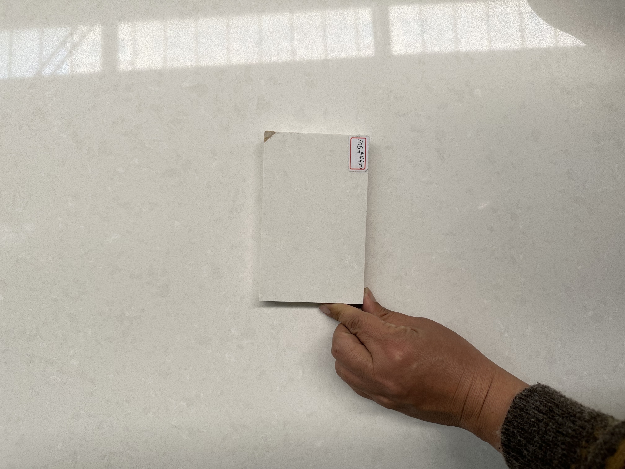 Organic White Quartz Countertops for Kitchen